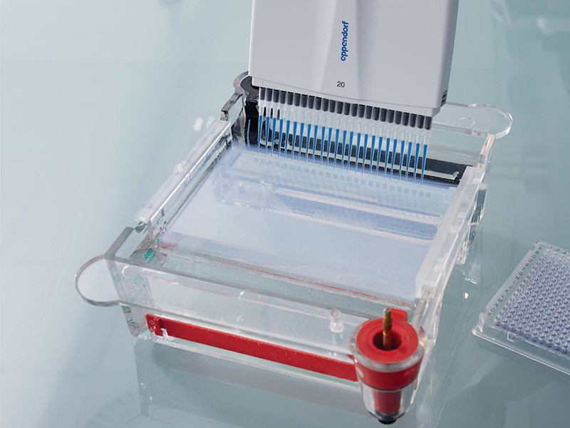 Eppendorf epT.I.P.S.® 384 5